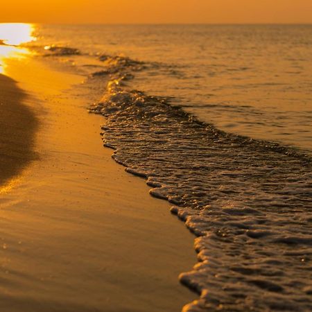 Ferienhaus Abenteuer Egmond aan Zee Ngoại thất bức ảnh
