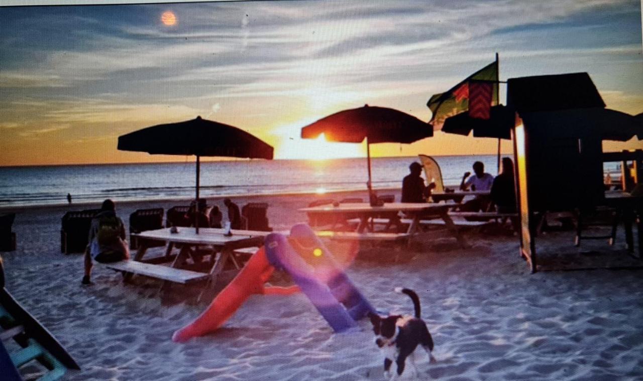 Ferienhaus Abenteuer Egmond aan Zee Ngoại thất bức ảnh